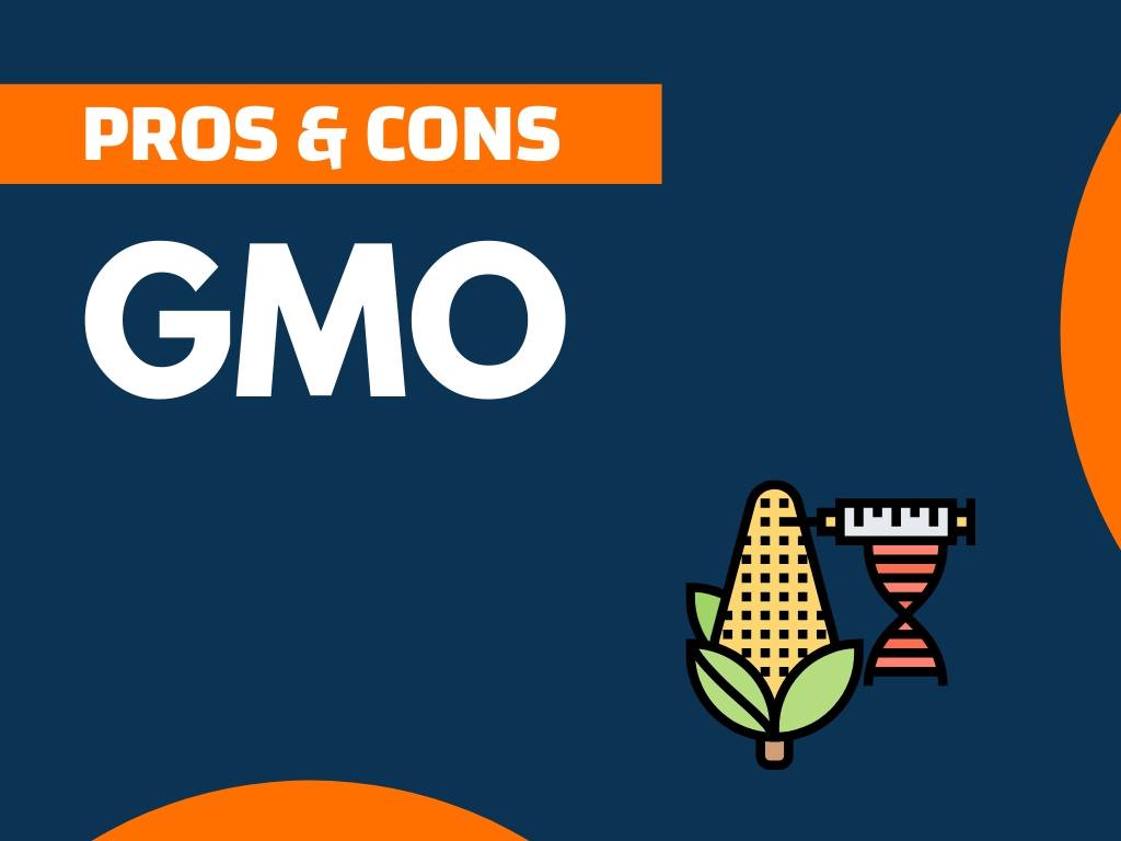 18 Pros And Cons Of Gmo Explained Thenextfind