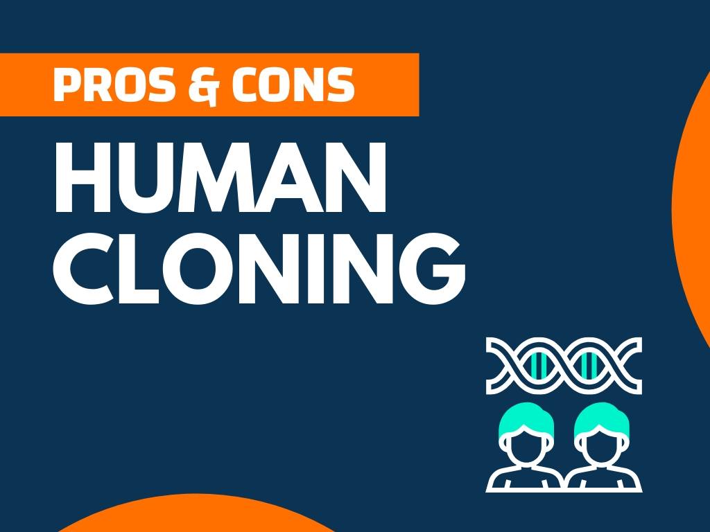 cloning humans pros essay