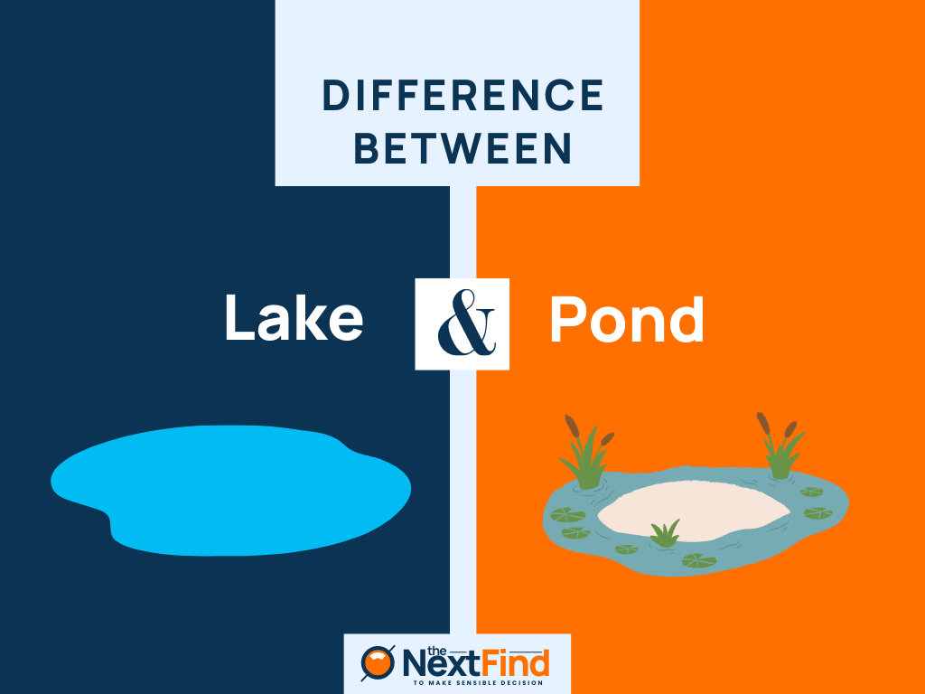 20-difference-between-lake-and-pond-explained