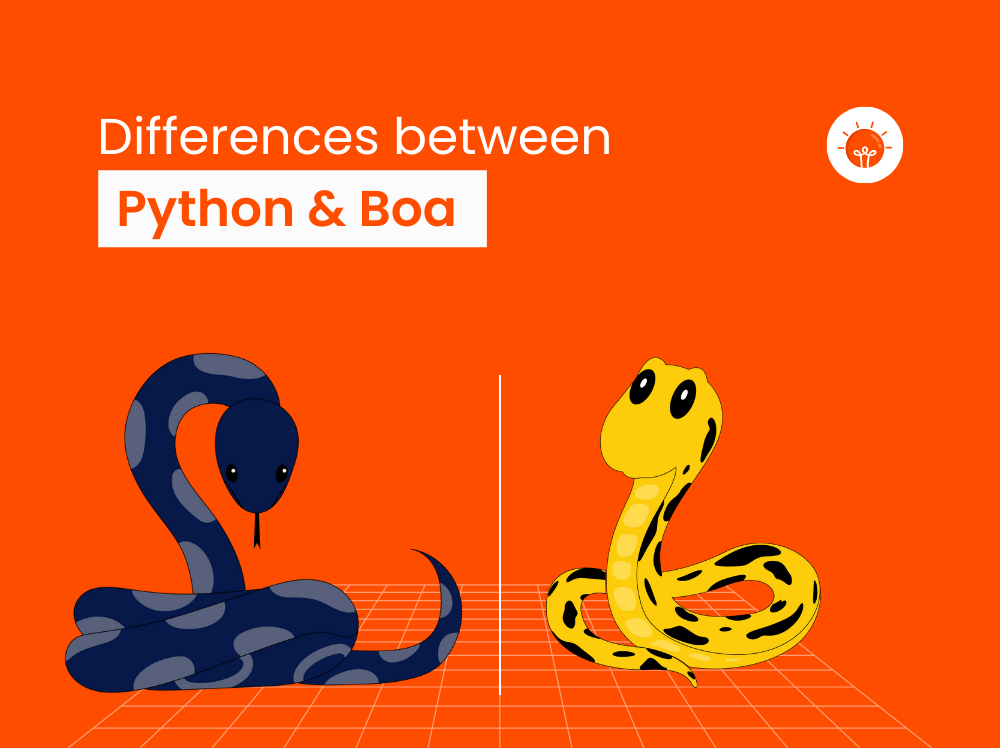 20+ Difference Between Python And Boa