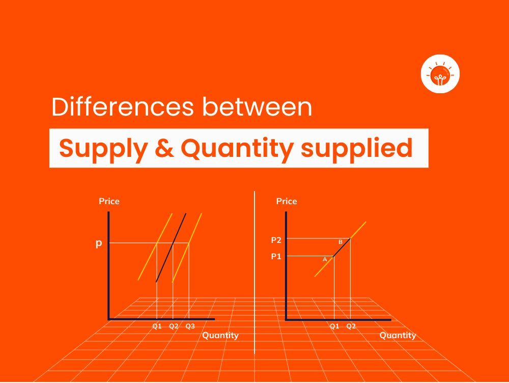 20-difference-between-supply-and-quantity-supplied