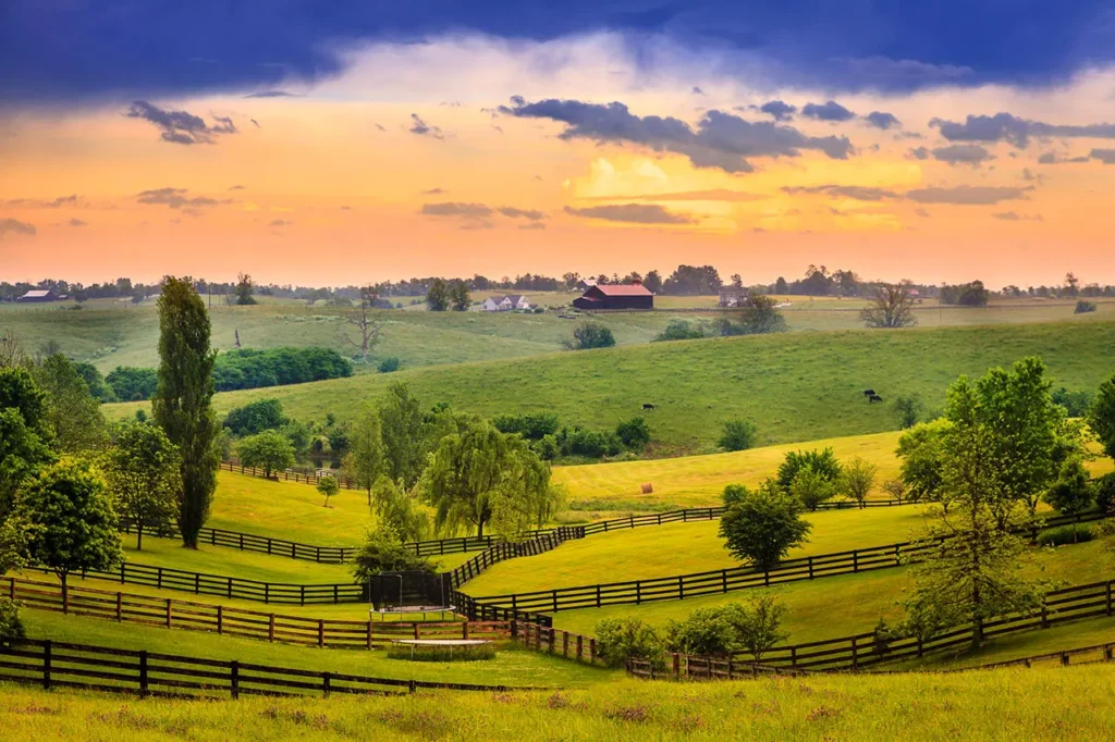 kentucky fields