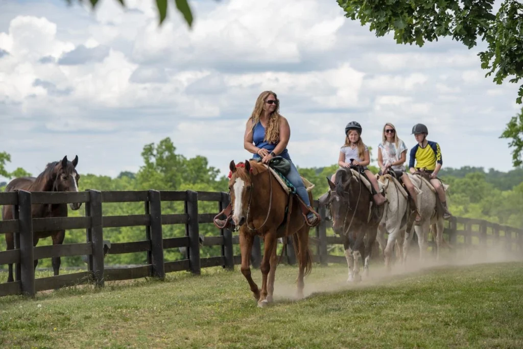 Horse Racing And The Kentucky Derby